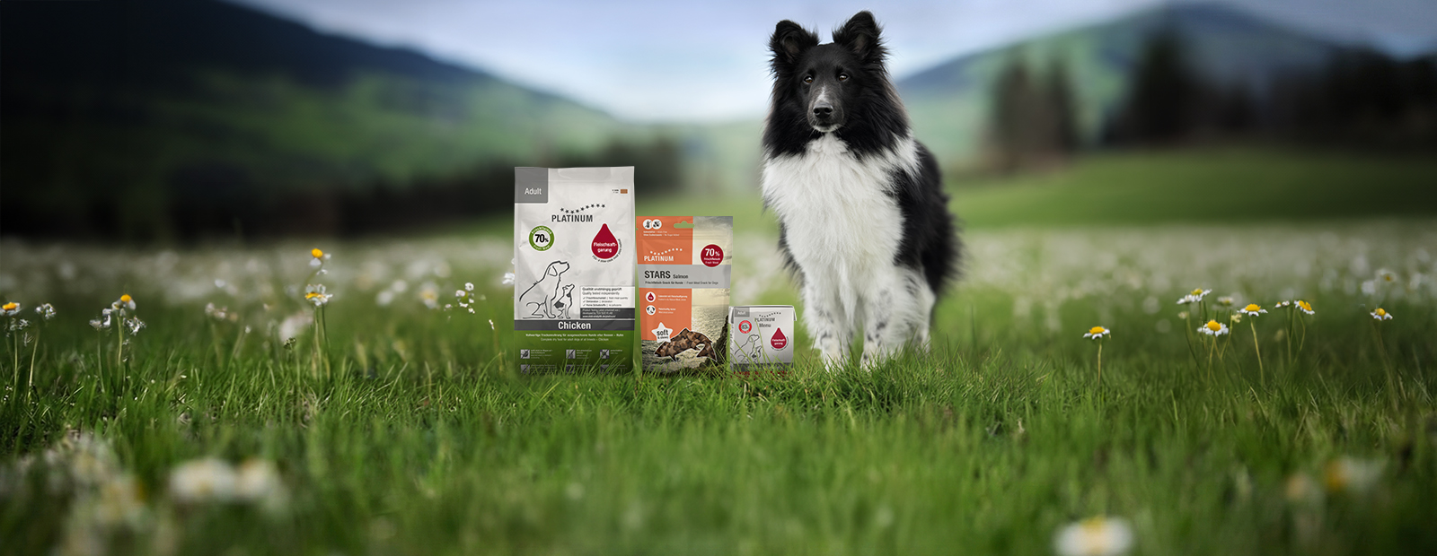 og stands in a meadow with flowers, next to a bag of dry food, treats and a Tetra wet food pouch
