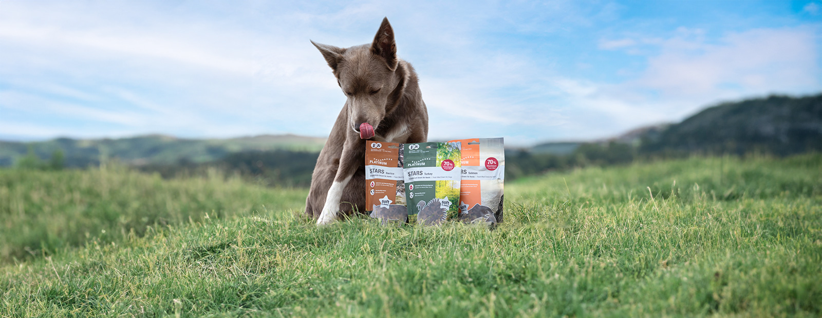 Three bags of snacks are standing next to each other on a lawn, and next to them sits a dog licking its lips.