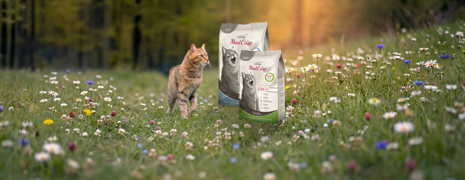 Cat runs across a meadow with flowers, passing two bags of MeatCrisp dry food