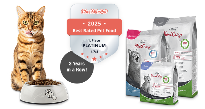 Cat sitting in front of a bowl of MeatCrisp dry food from PLATINUM, which has been awarded the CheckForPet seal