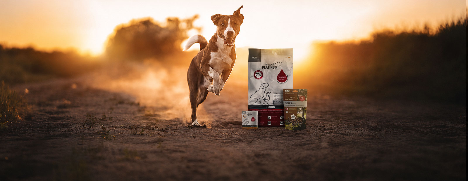 Dog is running on a path, next to a bag of dry food, treats and a Tetra wet food pouch