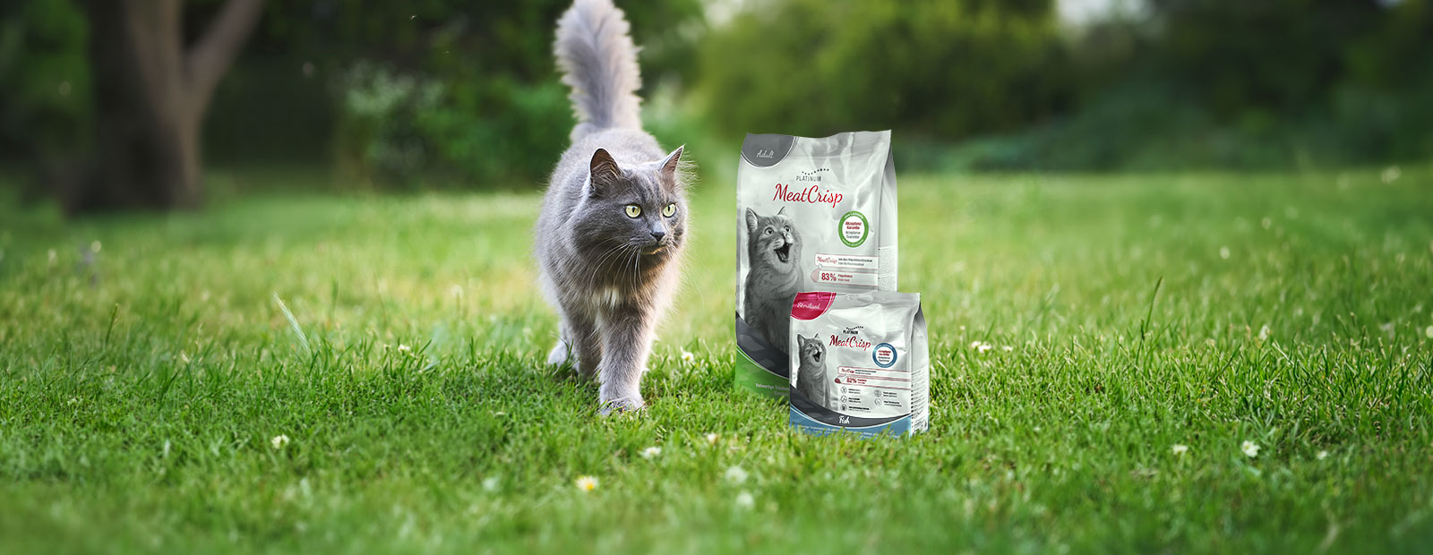 Cat runs across a meadow with flowers, passing two bags of MeatCrisp dry food