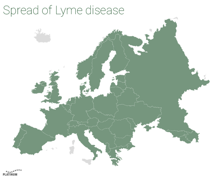 The disease Lyme disease is also transmitted to the dog by the tick in Europe