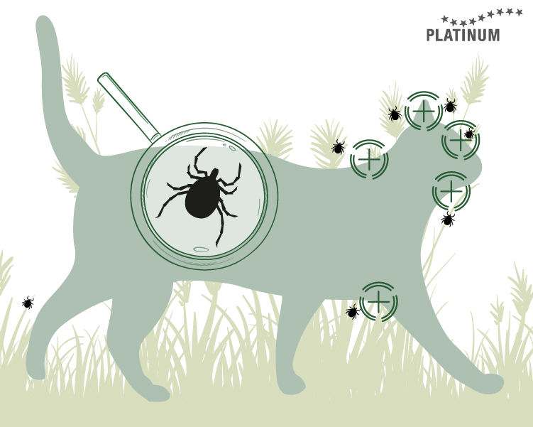 If your cat is an outdoor cat, you should regularly check your four-legged friend for ticks. 