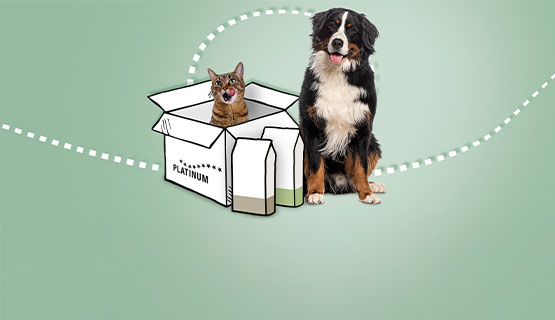 Clever savings, flexible customisation - our subscription!