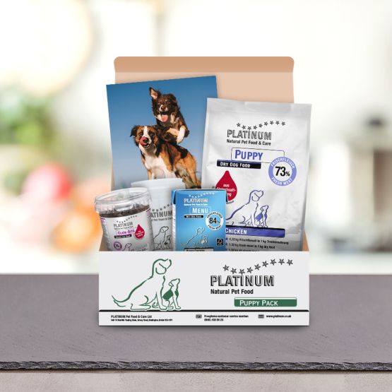 Starter-Set Puppy Chicken 