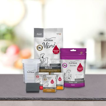 Connoisseur Box Mini 